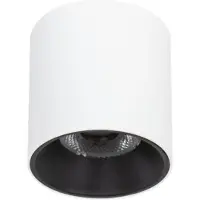 ITALUX LED-Aufbauleuchte 10W ALTISMA CLN-6677-75-WH-BL-3K