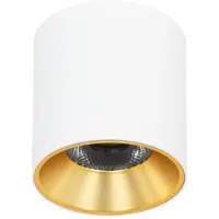 ITALUX LED-Aufbauleuchte 10W ALTISMA CLN-6677-75-WH-GD-3K