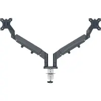 Leitz - Ergo Monitor arm space-saving dual - Dark grey