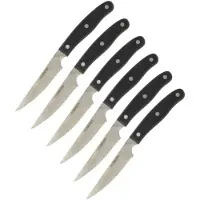 Nirosta Messerset Nirosta Edelstahl 6 Stücke