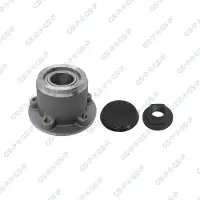 GSP Radlagersatz Hinten Links Hinten Rechts für RENAULT MASTER III Kasten (FV) 159,7mm 9245034K
