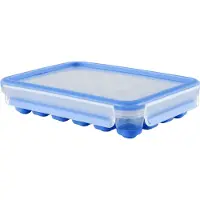 Tefal MasterSeal K30236, 1 Stück(e), Rechteckig, Eiswürfelbehälter, Blau, Transparent, 165 mm, 226 mm
