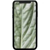 Apple #GOECO iPhone 11, 15,5 cm (6.1"), 1792 x 828 Pixel, 4 GB, 64 GB, 12 MP, Schwarz