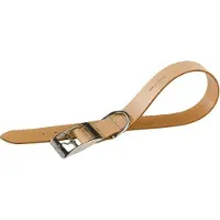 Ferplast Natural C, Hund, Standardkragen, Braun, Leder, Einfarbig, 35 cm