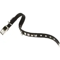 Ferplast Dual 25 Mm 45 Cm Hundehalsband