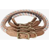 Oyoy ZOO - Perry Hundehalsband, small, mellow