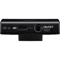 Ricoh GF-2 WW