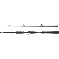 Abu Garcia BEAST Pike 802HP, 2,44m, 8ft, 30-100g, 2 Teile, Casting Angelrute, 1561311