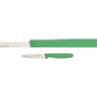 Schneider - Gemüsemesser, 10 cm Griff grün
