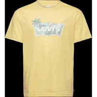 Levi's Levis Kids T-Shirt "LVB HIGH TIDE BATWING TEE" for Boys, mit Front-Print