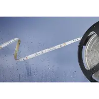 Barthelme 51540428 51540428 LED-Streifen mit offenem Kabelende 12 V/DC 5