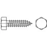 Toolcraft 1067989 Sekskantet kærvskrue 4.2 mm 45 mm Udvendig sekskant DIN 7976 Rustfrit stål A2 500 stk