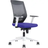 Rocada Ergoline 908W-3, Gepolsterter Sitz, Netz-Rückenlehne, Blau, Schwarz, Weiß, Stoff, Schaum, Netz, Technopolymer