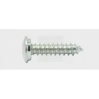 Swg Nummerplade-skruer 4.8 mm 16 mm Krydsk?rv Philips St?l verzinkt 100 stk