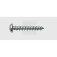 Swg 115631925 Blechschrauben 6.3 mm 19 Kreuzschlitz Phillips DIN 7981