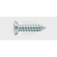 Swg 1030551925 Nummernschild-Schrauben 5.5 mm 19 Kreuzschlitz Phillips