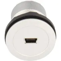 Schlegel MIni-USB-Einbaubuchsen 2.0 Buchse, Einbau RRJ MINIUSB BB Inhalt: 1 St