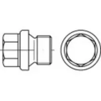 Toolcraft TO-5449311 Verschlussschrauben 1/2 mm Außensechskant DIN 910 Messing 50 St.