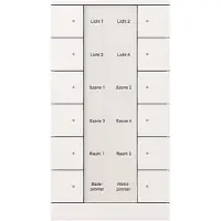 Busch-Jaeger Bedienelement 12-fach SB/U12.0.11-84, 1 Stk.