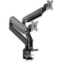 Roline LCD-Dualarm
