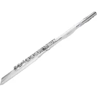 Roland Aerophone Brisa Digitales Blasinstrument