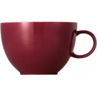 Thomas 10850-408517-14642