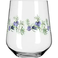 Ritzenhoff Gin-&-Tonic-Glas Botanic Lights #5 #6 710 ml (2er Set)