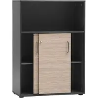 Schildmeyer Metz Aktenschrank abschliessbar anthrazit / canello Eiche Dekor