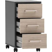 Schildmeyer Metz Rollcontainer anthrazit / canello Eiche Dekor
