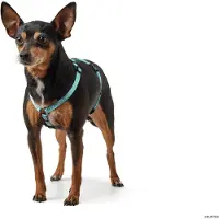 DOG SPORT HUNTER Geschirr Tripoli Vario Rapid Mini XXS, hellblau