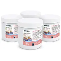 Höfer Chemie 4x500 g BAYZID Mini 2,7g pH-neutrale Chlortabs für kleine Pools geeignet
