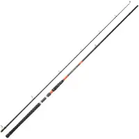 Daiwa Megaforce Big Fish Welsrute Silber 2.60 m / 80-180 g Silber 2.60 m