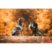 DOG SPORT HUNTER Hundemantel Uppsala 27,5, taupe