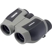 Carson JD-025, BK-7, 10x, 2,5 cm, Schwarz, Grau, 281 g