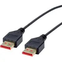 Roline DisplayPort – DisplayPort