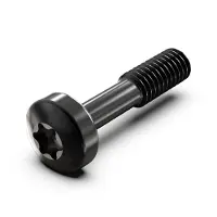 NVent SCREW TORX COL.M2.5X12.3 100X - Rack-Zubehör (21101783)