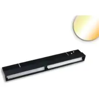 ISOLED Track48 Phasen Wallwasher Leuchte 22cm schwarz 12W 100° asymetrisch 48V DC 1800-4000K CRI90 400lm DALI DT8 dimmbar EEK G [A-G] Fiai 117227