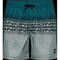 O'Neill Logo Stripe 16 Swim Shorts grün