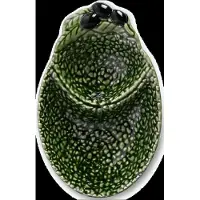By On Servierplatte ''Fruity Bowl'' in Oliv - (L)22 x (B)14 cm - onesize