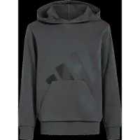 Adidas - Kid's Essentials Hoodie - Hoodie Gr 164 grau