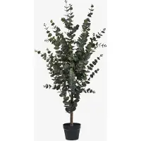 House Nordic Eucalyptus