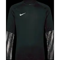 Nike Dri-FIT Park V Torwarttrikot Herren L
