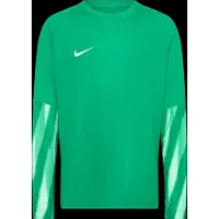Nike Park V Trikot langarm Kids Grün F324 || Größe XL ( 158-170 )