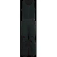 Reima Reimatec Winter Pants, Alppi black (9990) 98 cm