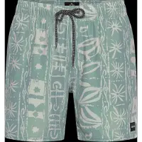 Rip Curl Sessions Volley Badeshorts