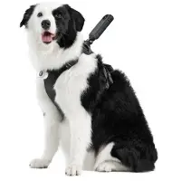 Insta360 Halterung für Haustiergeschirr Größe L