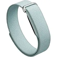 Google Fitbit Air