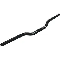 Ergotec Riser 30 Mas Lenker