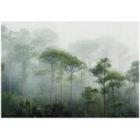 WALLARENA FOTOTAPETE 3D Effekt Wald im Nebel 300x210