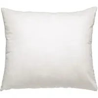 Traumina Plume Soft Kopfkissen mit Bio Daunen Füllung 1 St Kissen